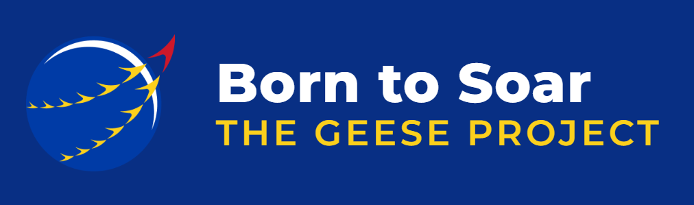 Born to Soar